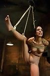 Flexible beauty in tight conformation with suspension and dominating act of love