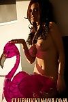 Boobsy Morena wildchild, Nikki nova, las ganancias como madre dio nacimiento y muestra off su Increíble jaula de el amor y grande boobs.