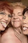 Three mature cunts share double heavy cocks