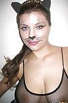Lively kitty with big tits posing in underware and stockings